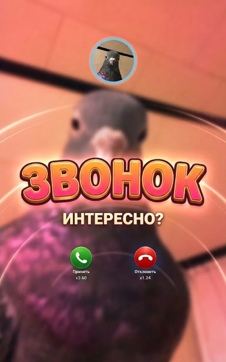 Звонок